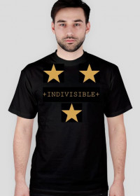 Koszulka INDIVISIBLE "Gold"