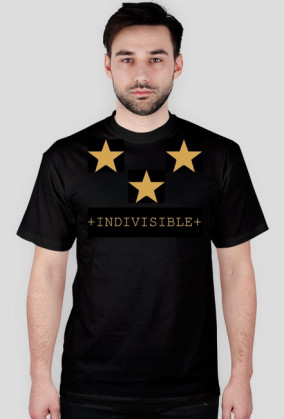 Koszulka INDIVISIBLE "Gold"