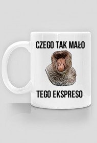 CZEGO TAK MAŁO
