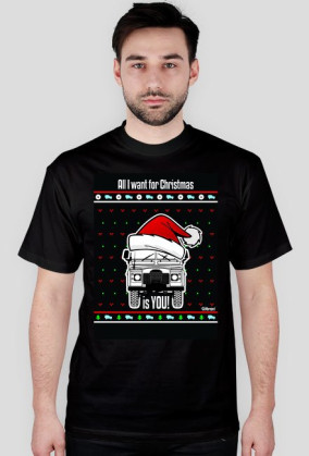 christmas landowy