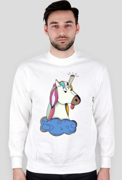 Inwersja roga bluza