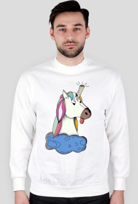 Inwersja roga bluza