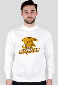 bluza bez kaptura logo Blaze Storm
