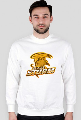 bluza bez kaptura logo Blaze Storm