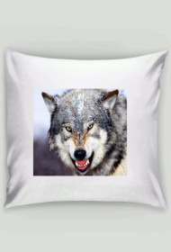 wilk poduszka