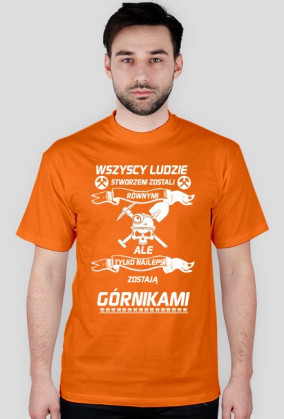 Górniczy Stan