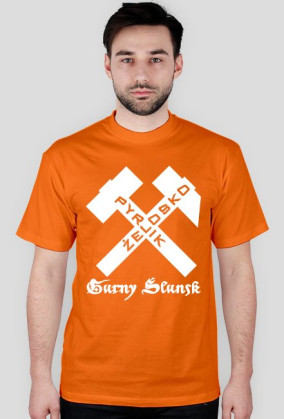 Gurny Ślunsk