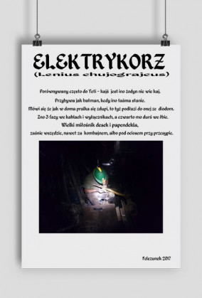 Plakat elektrykorza