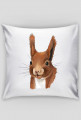 poducha z wiewiórą 1