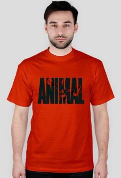 ANIMAL Tshirt kolor