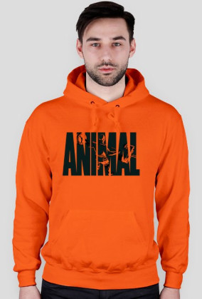 ANIMAL Bluza kolor