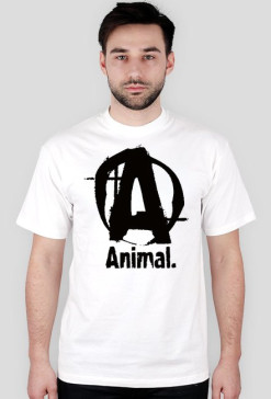 A logo tshirt kolor