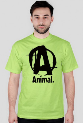 A logo tshirt kolor