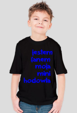 Jestem fanem