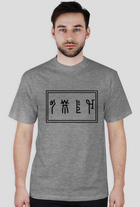 Koszulka LINEA - White Raven Style