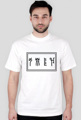 Koszulka LINEA - White Raven Style
