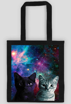 Galaxy Kitty