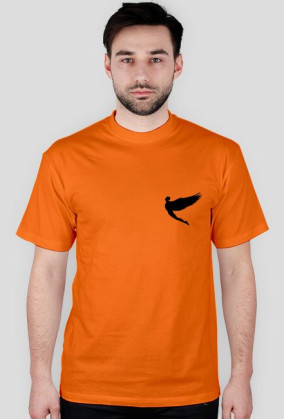 t-shirt Logo Ikar