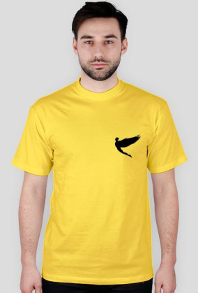 t-shirt Logo Ikar