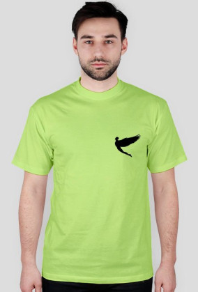 t-shirt Logo Ikar