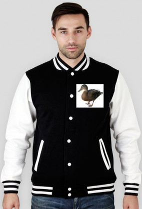 Bluza z kaczkami