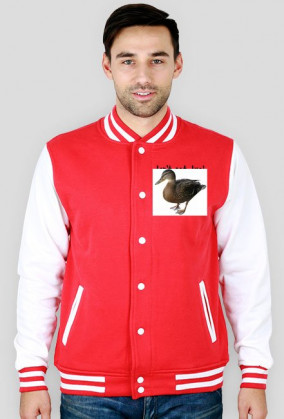 Bluza z kaczkami
