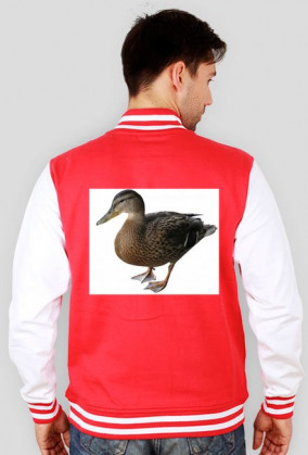 Bluza z kaczkami