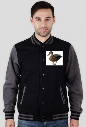 Bluza z kaczkami