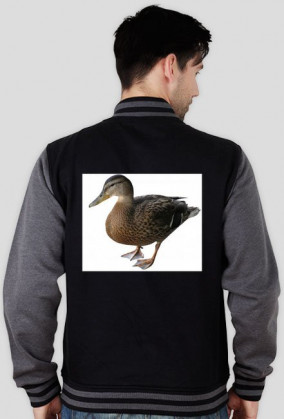 Bluza z kaczkami