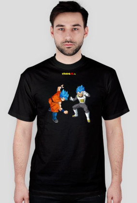 Goku & Vegeta SSGSS