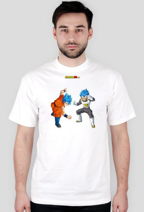 Goku & Vegeta SSGSS