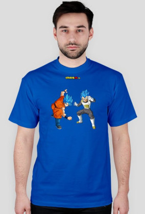 Goku & Vegeta SSGSS