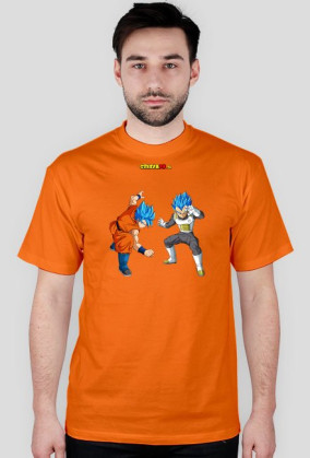 Goku & Vegeta SSGSS