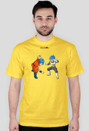 Goku & Vegeta SSGSS