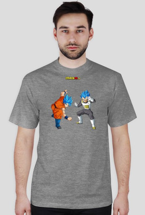 Goku & Vegeta SSGSS