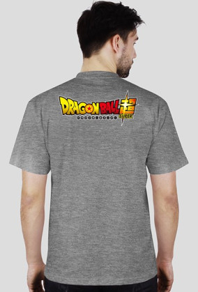 Goku & Vegeta SSGSS