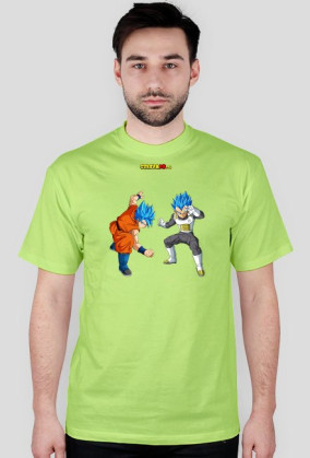 Goku & Vegeta SSGSS