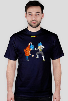 Goku & Vegeta SSGSS