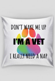 Rainbow Vet Pillow