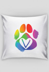 Rainbow Vet Pillow 2