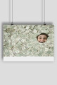 dolar