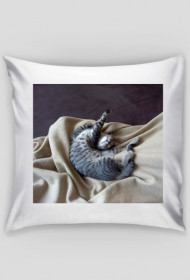 Poszewka na poduszkę-kot