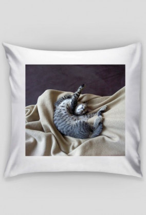 Poszewka na poduszkę-kot