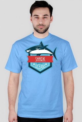 shark 1