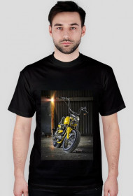 Harley1-dużo kolorów