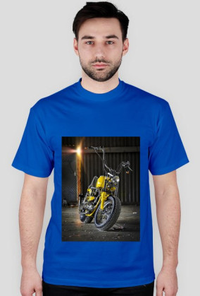 Harley1-dużo kolorów