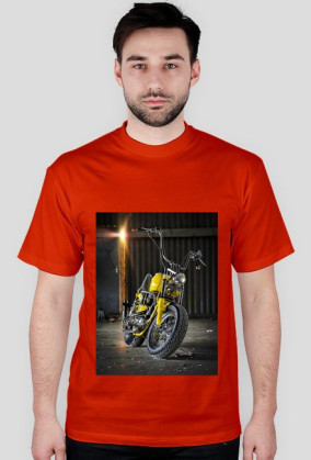 Harley1-dużo kolorów