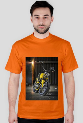 Harley1-dużo kolorów