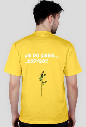 Łodyga
