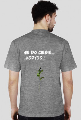 Łodyga